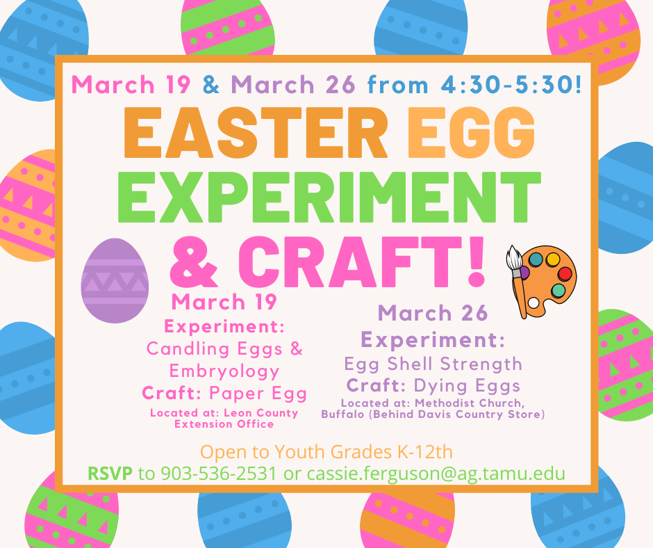 Easter Egg Experiment & Craft